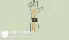 Cuando trabajar en un crucero se convierte en una pesadilla