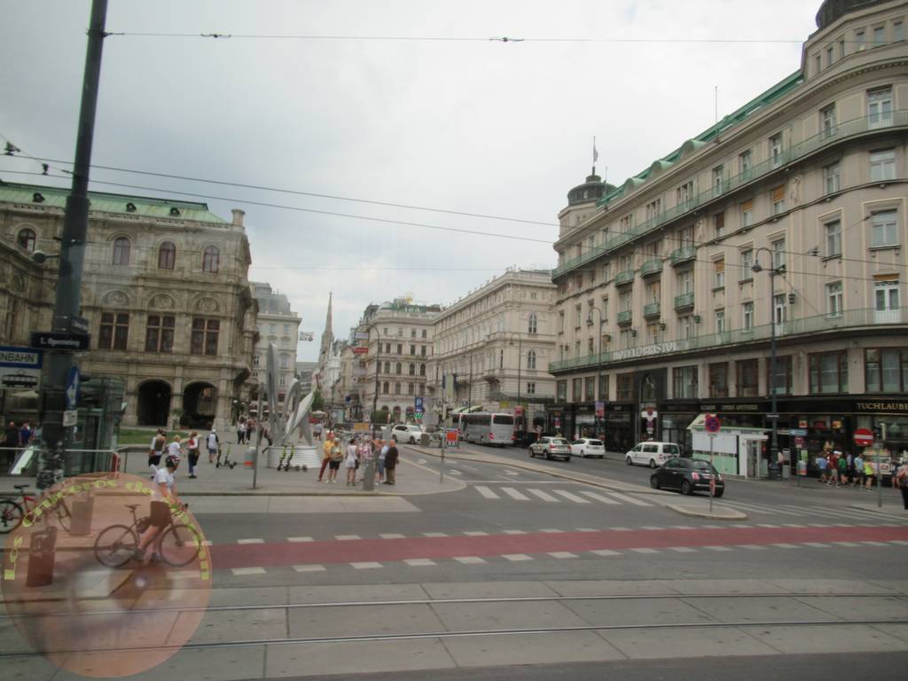 Viena 4