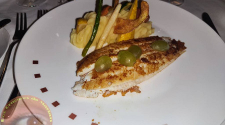 Celebrity Reflection-044